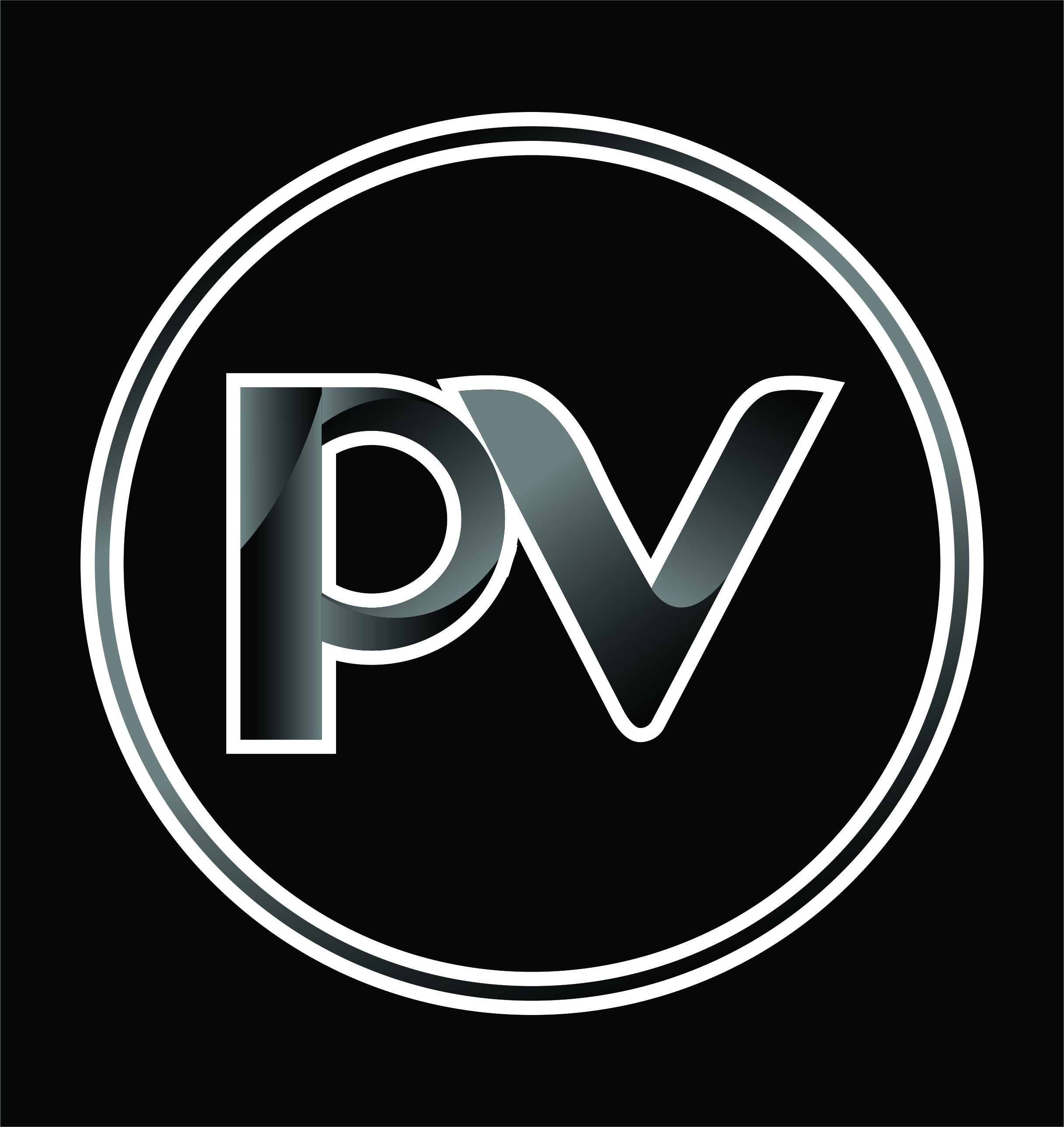 Patch Vision Logo